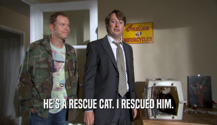 HE'S A RESCUE CAT. I RESCUED HIM.  