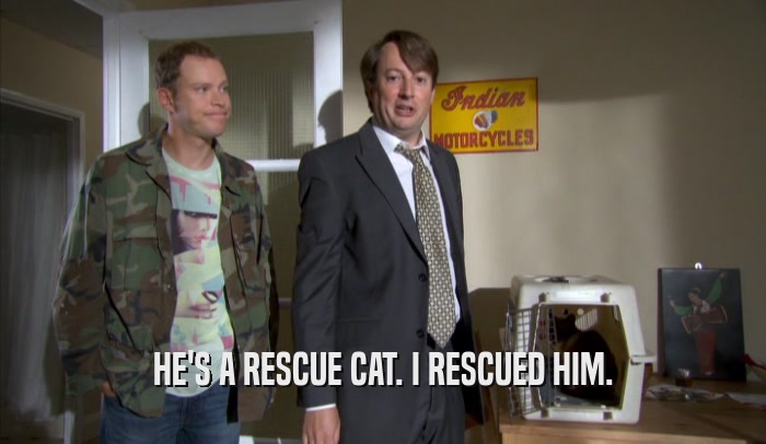 HE'S A RESCUE CAT. I RESCUED HIM.  