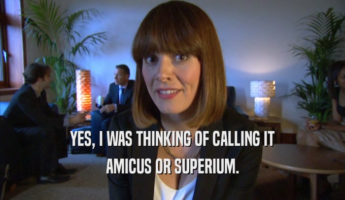 YES, I WAS THINKING OF CALLING IT AMICUS OR SUPERIUM. 