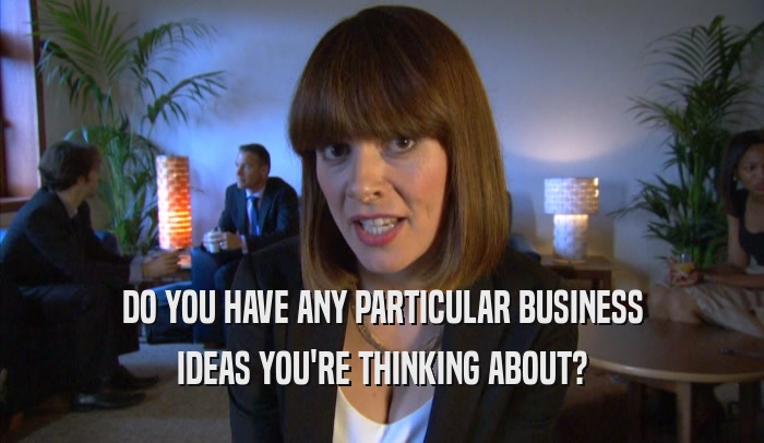 DO YOU HAVE ANY PARTICULAR BUSINESS IDEAS YOU'RE THINKING ABOUT? 