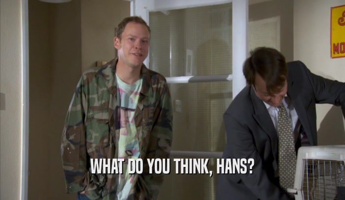 WHAT DO YOU THINK, HANS?  