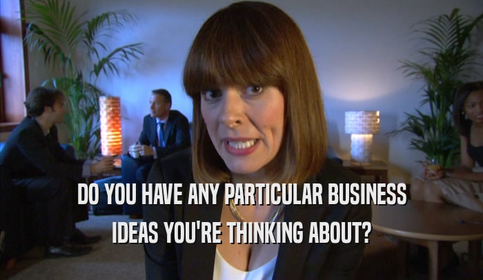 DO YOU HAVE ANY PARTICULAR BUSINESS IDEAS YOU'RE THINKING ABOUT? 