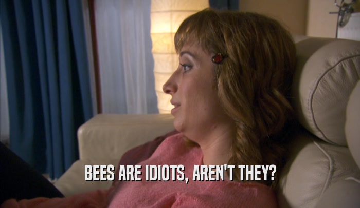 BEES ARE IDIOTS, AREN'T THEY?  