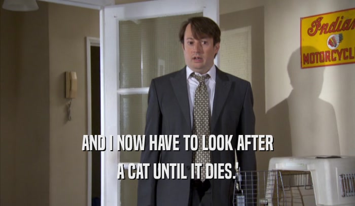 AND I NOW HAVE TO LOOK AFTER A CAT UNTIL IT DIES.' 