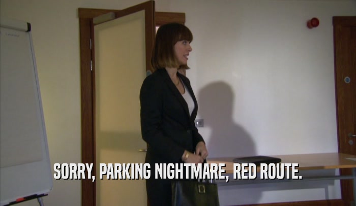 SORRY, PARKING NIGHTMARE, RED ROUTE.  