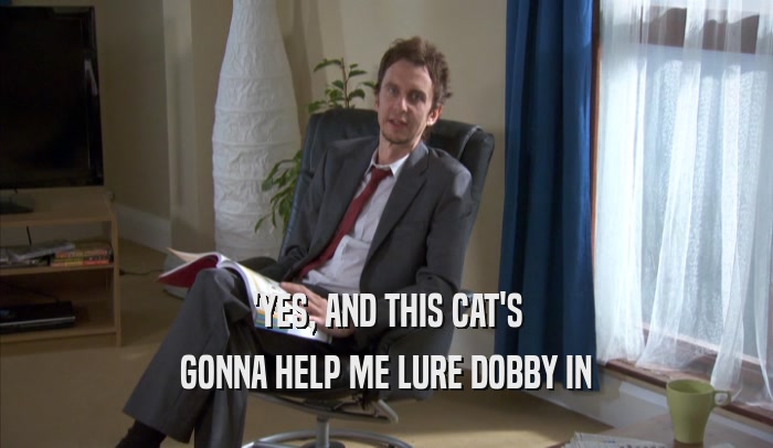 'YES, AND THIS CAT'S GONNA HELP ME LURE DOBBY IN 