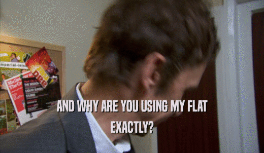 AND WHY ARE YOU USING MY FLAT EXACTLY? 