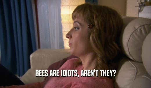 BEES ARE IDIOTS, AREN'T THEY?  