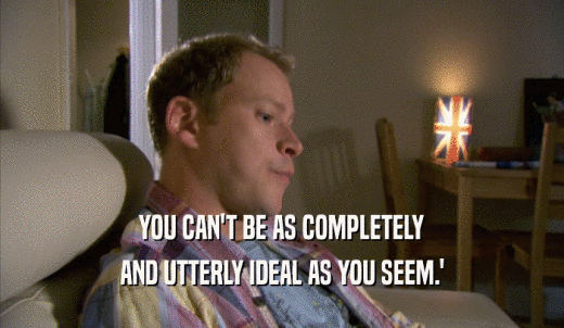 YOU CAN'T BE AS COMPLETELY AND UTTERLY IDEAL AS YOU SEEM.' 