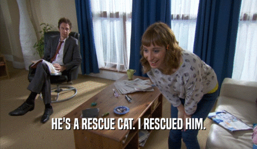 HE'S A RESCUE CAT. I RESCUED HIM.  