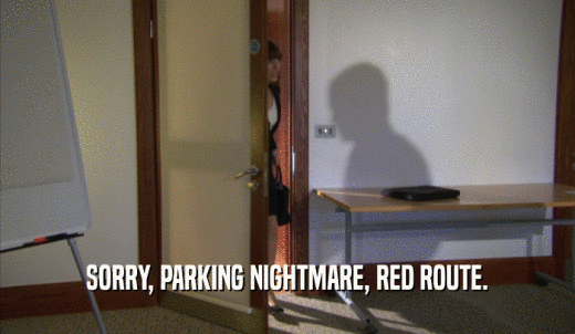 SORRY, PARKING NIGHTMARE, RED ROUTE.  