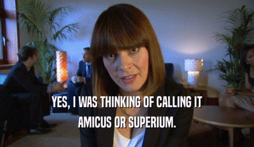 YES, I WAS THINKING OF CALLING IT AMICUS OR SUPERIUM. 