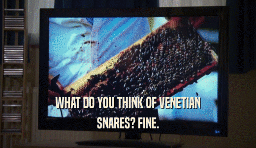 WHAT DO YOU THINK OF VENETIAN SNARES? FINE. 
