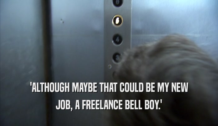 'ALTHOUGH MAYBE THAT COULD BE MY NEW
 JOB, A FREELANCE BELL BOY.'
 