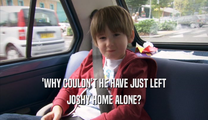 'WHY COULDN'T HE HAVE JUST LEFT JOSHY HOME ALONE? 