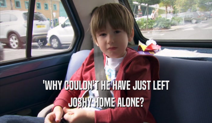 'WHY COULDN'T HE HAVE JUST LEFT JOSHY HOME ALONE? 