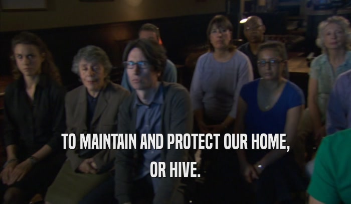 TO MAINTAIN AND PROTECT OUR HOME, OR HIVE. 