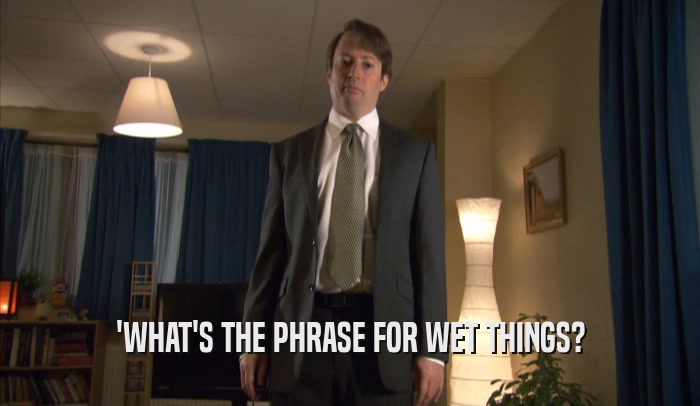 'WHAT'S THE PHRASE FOR WET THINGS?  