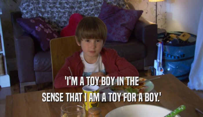 'I'M A TOY BOY IN THE SENSE THAT I AM A TOY FOR A BOY.' 