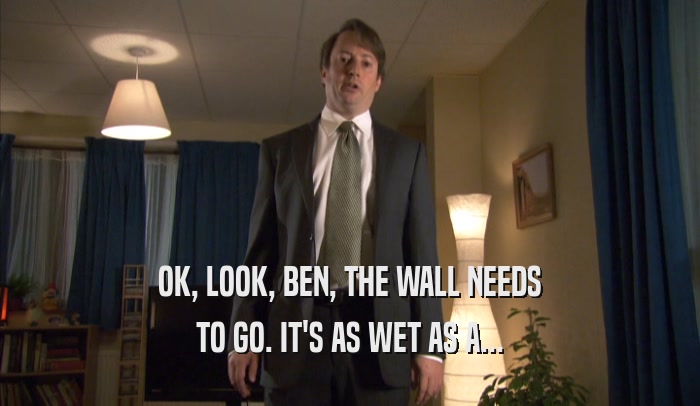 OK, LOOK, BEN, THE WALL NEEDS TO GO. IT'S AS WET AS A... 
