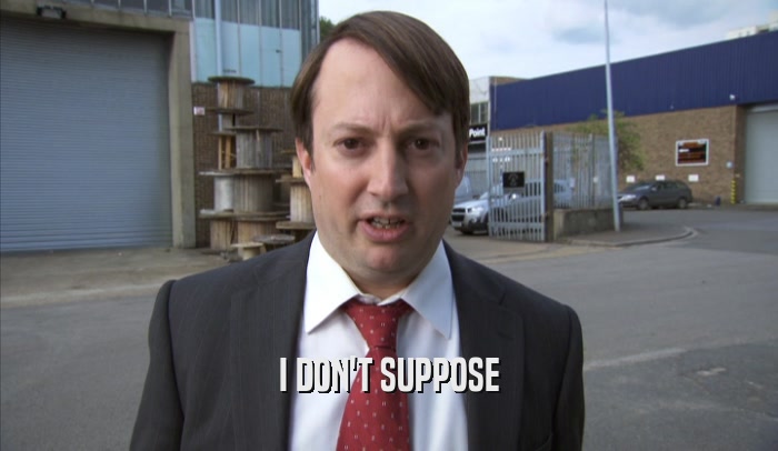 I DON'T SUPPOSE  