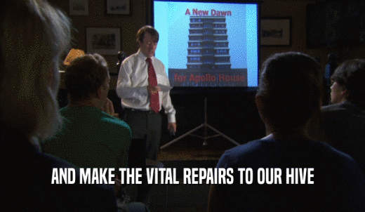 AND MAKE THE VITAL REPAIRS TO OUR HIVE  