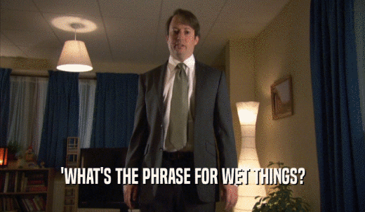 'WHAT'S THE PHRASE FOR WET THINGS?  