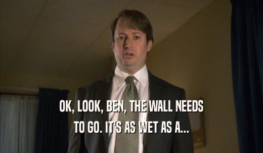 OK, LOOK, BEN, THE WALL NEEDS TO GO. IT'S AS WET AS A... 