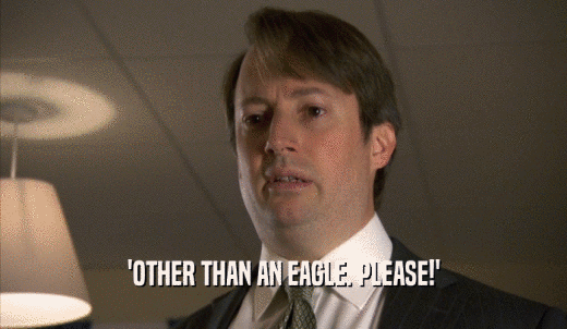 'OTHER THAN AN EAGLE. PLEASE!'  