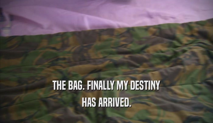 THE BAG. FINALLY MY DESTINY HAS ARRIVED. 