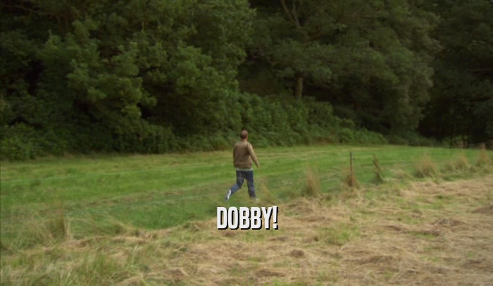 DOBBY!  