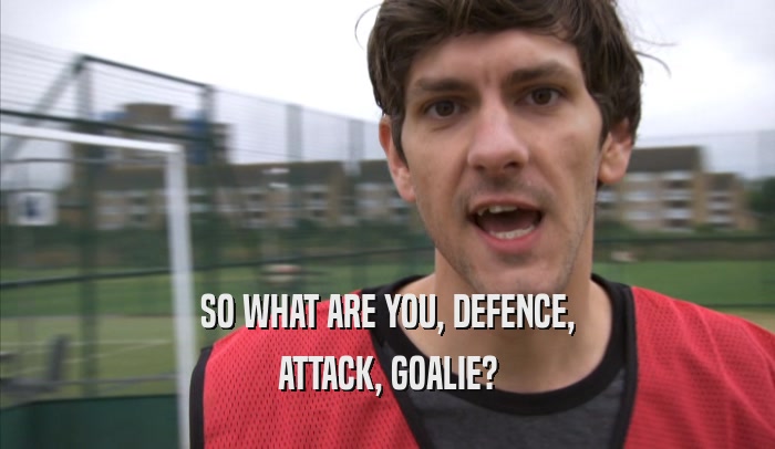 SO WHAT ARE YOU, DEFENCE, ATTACK, GOALIE? 