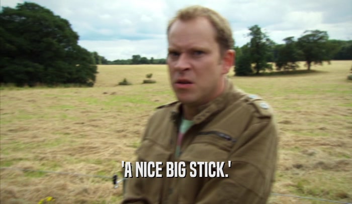 'A NICE BIG STICK.'  