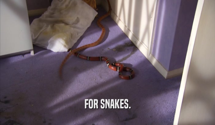 FOR SNAKES.  