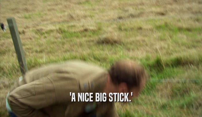 'A NICE BIG STICK.'  