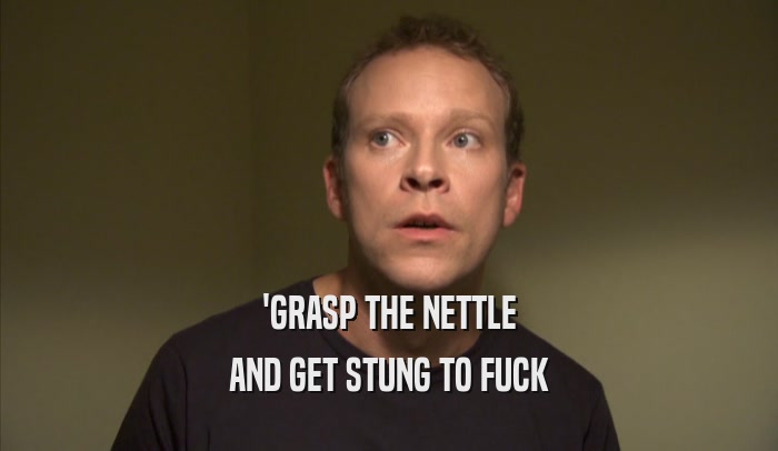'GRASP THE NETTLE AND GET STUNG TO FUCK 