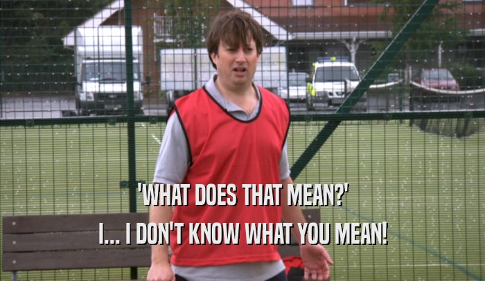 'WHAT DOES THAT MEAN?' I... I DON'T KNOW WHAT YOU MEAN! 