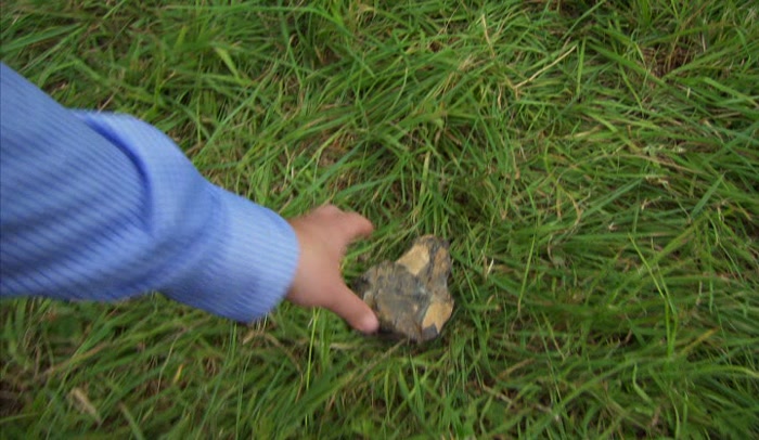 ARE ROCKS INVITED TO THE PARTY?  