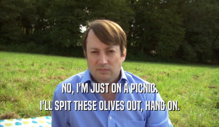 NO, I'M JUST ON A PICNIC. I'LL SPIT THESE OLIVES OUT, HANG ON. 