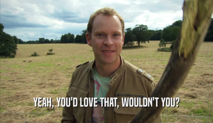 YEAH, YOU'D LOVE THAT, WOULDN'T YOU?  