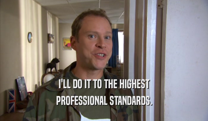 I'LL DO IT TO THE HIGHEST PROFESSIONAL STANDARDS. 