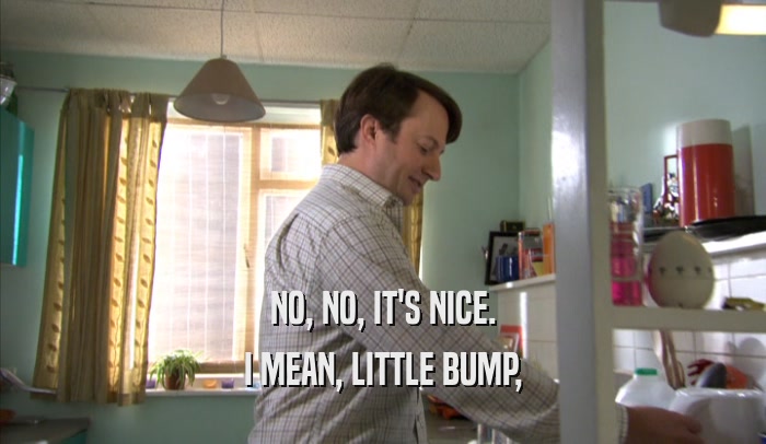 NO, NO, IT'S NICE. I MEAN, LITTLE BUMP, 