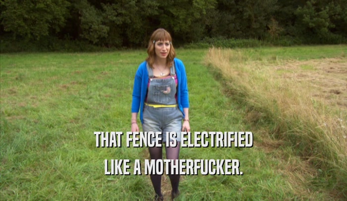 THAT FENCE IS ELECTRIFIED LIKE A MOTHERFUCKER. 