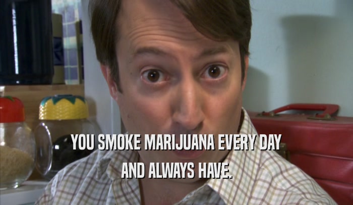 YOU SMOKE MARIJUANA EVERY DAY AND ALWAYS HAVE. 