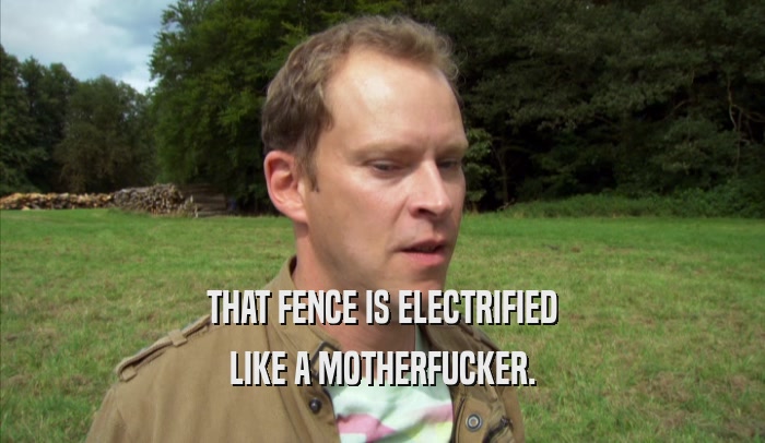 THAT FENCE IS ELECTRIFIED LIKE A MOTHERFUCKER. 