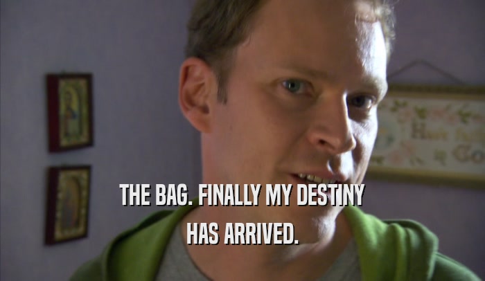 THE BAG. FINALLY MY DESTINY HAS ARRIVED. 