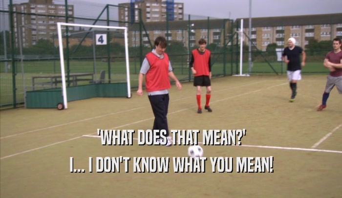 'WHAT DOES THAT MEAN?' I... I DON'T KNOW WHAT YOU MEAN! 