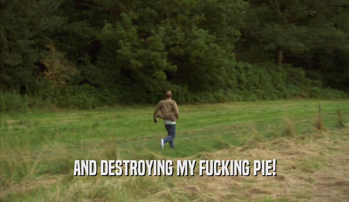 AND DESTROYING MY FUCKING PIE!  