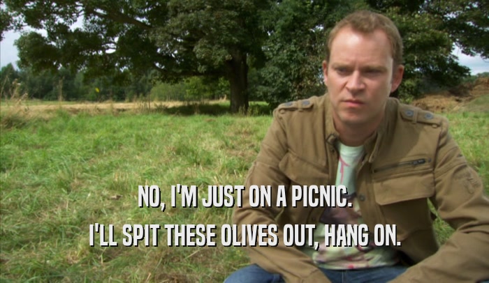 NO, I'M JUST ON A PICNIC. I'LL SPIT THESE OLIVES OUT, HANG ON. 