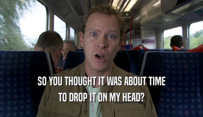 SO YOU THOUGHT IT WAS ABOUT TIME TO DROP IT ON MY HEAD? 
